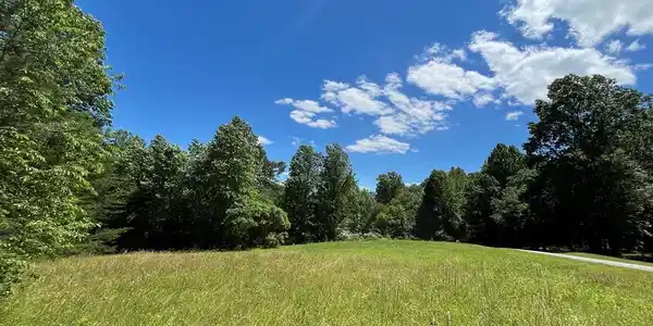 Lot 46A Licklog Ridge