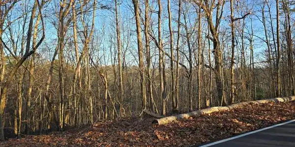 Lot 476 Riverview Drive