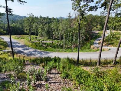 Lot 3 Mountain Laurel Ridge