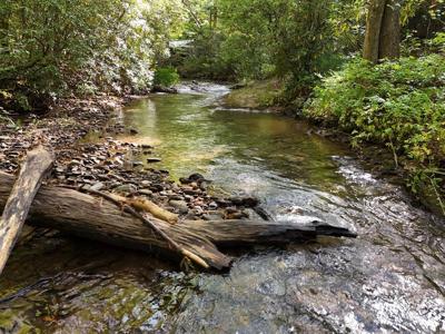 Mill Creek