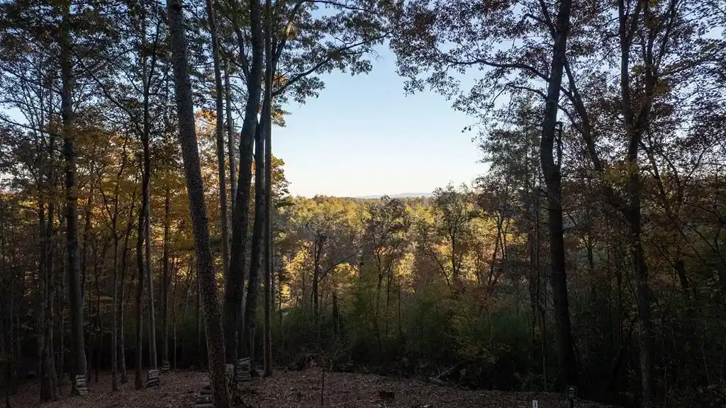 Image 1: Main View