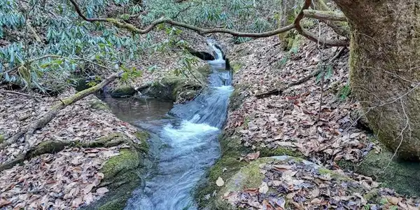 6.83ac Webb Creek Road