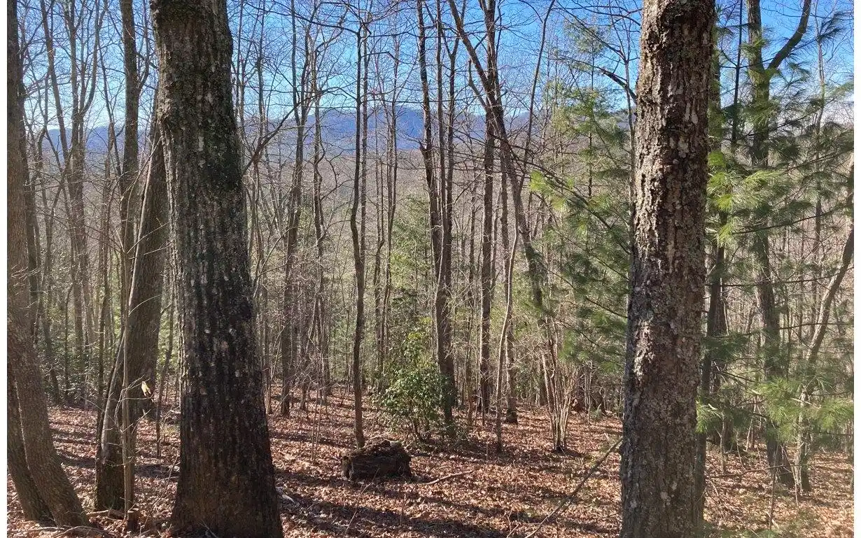 Image 1: Main View
