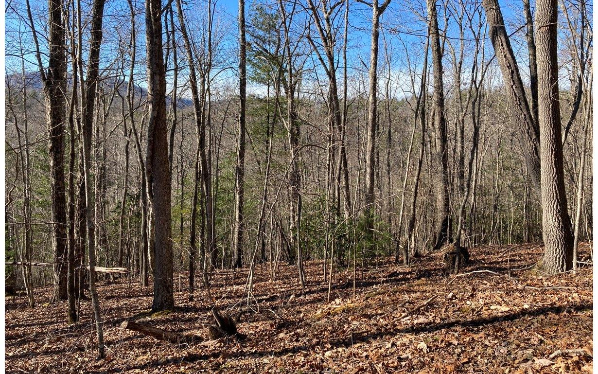 Image 2: Additional View