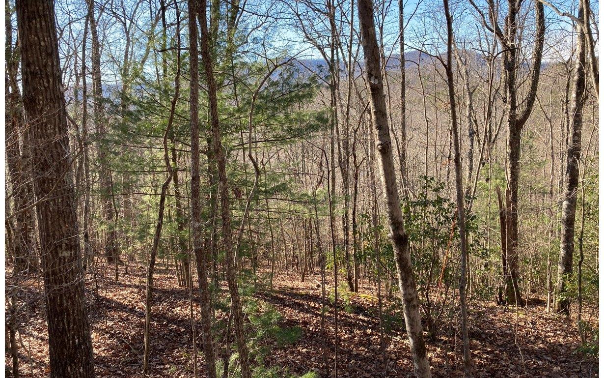 Image 3: Additional View