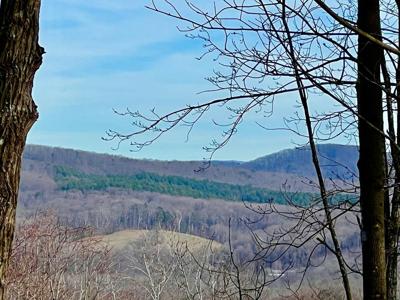 Lot 22 Sky High Drive