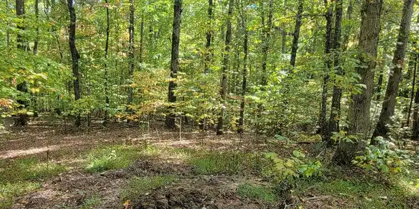 31-B Mountain View Lane