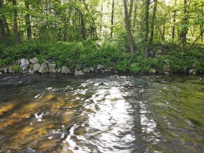 Lot 7 Souther Farm Drive