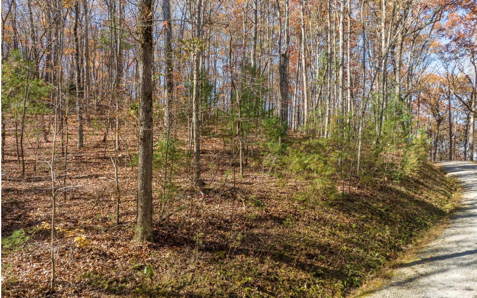 Image 3: Additional View