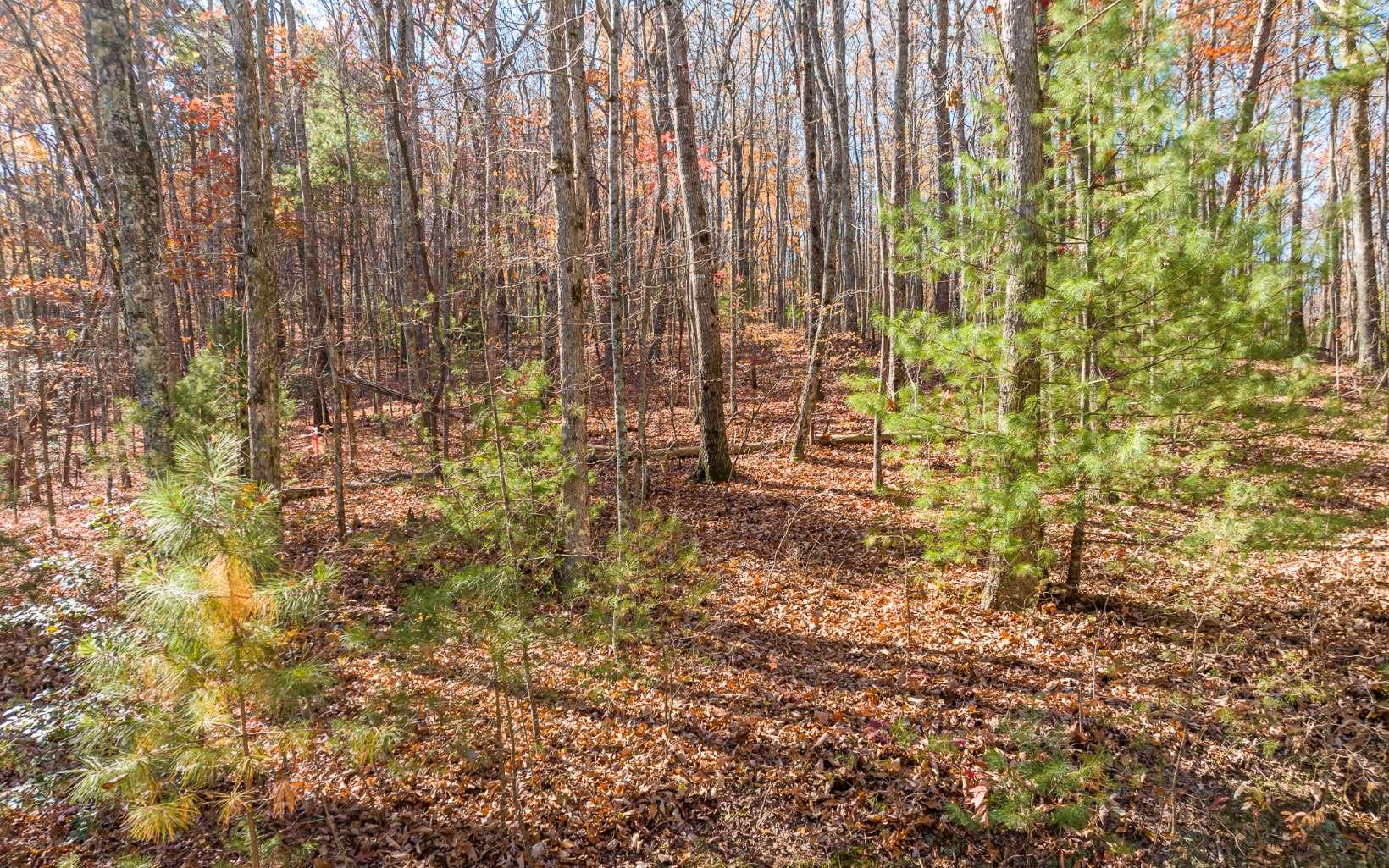 Image 4: Additional View