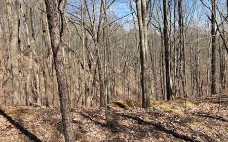 1114 Bethel Ct -