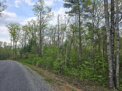 Lot 10 Kennedys Court