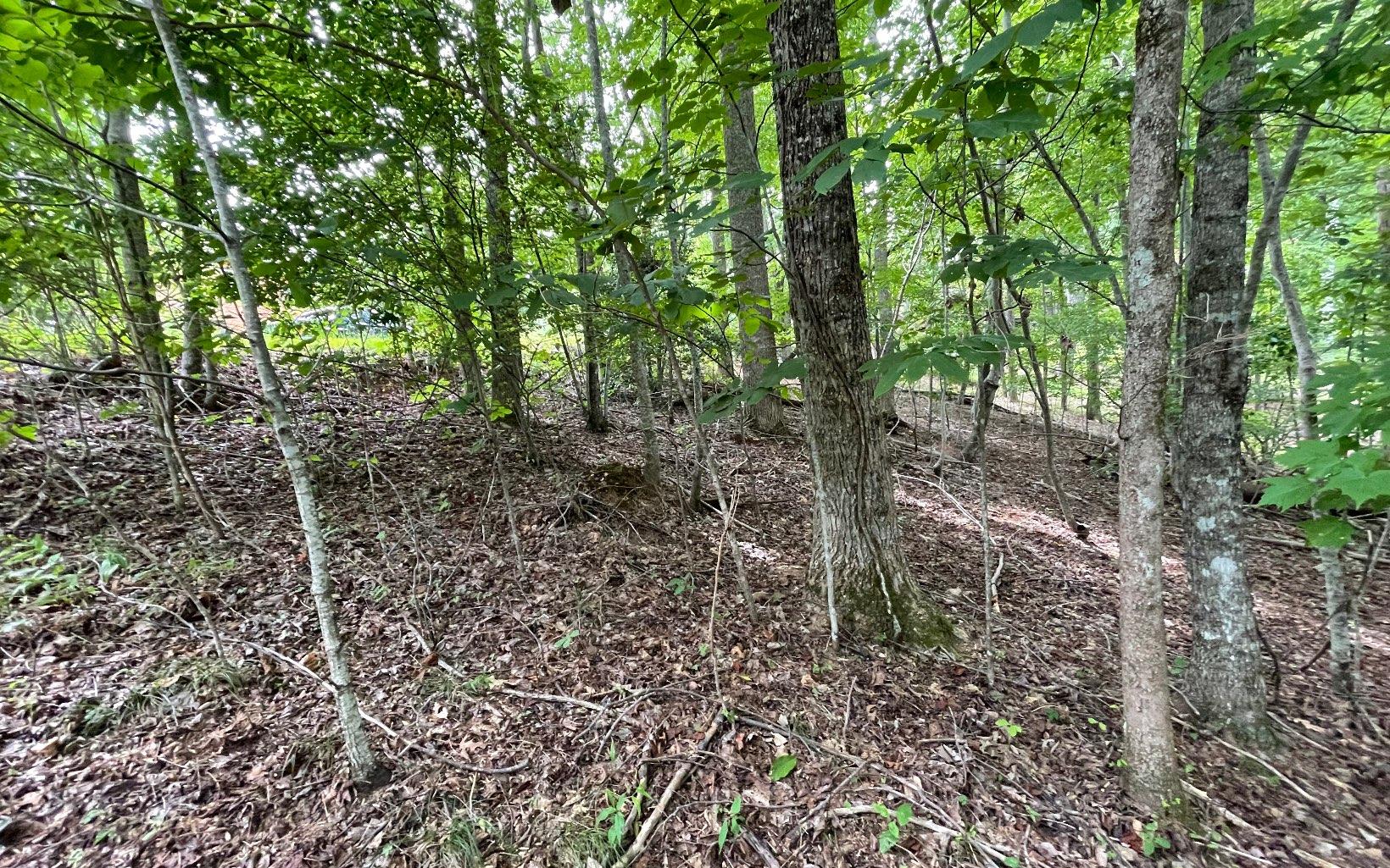 Image 1: Main View