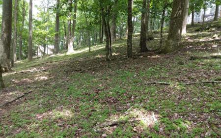M213 Walnut Ridge