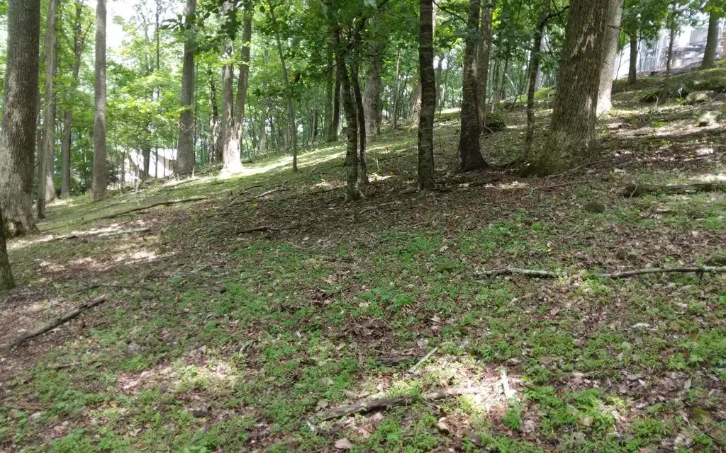 Image 1: Main View