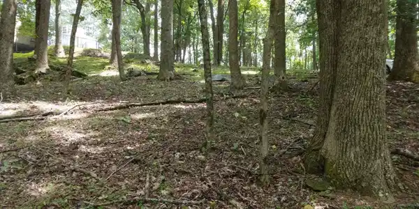 Image 4: Additional View