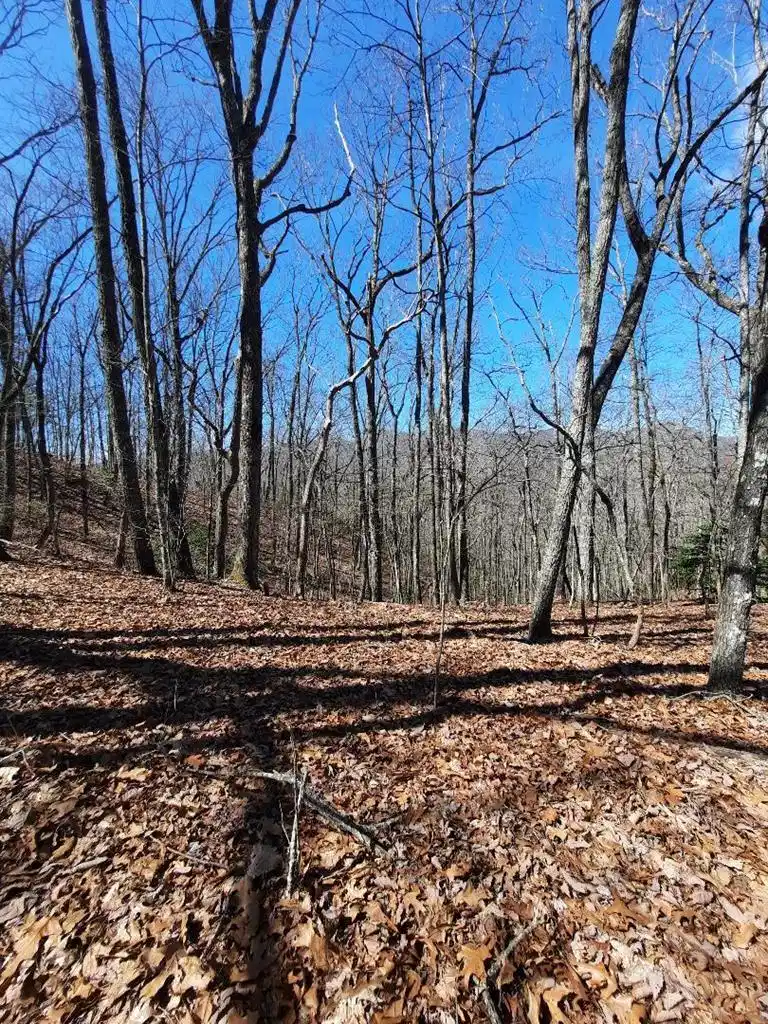 Image 1: Main View, Gentle terrain atop the ridge