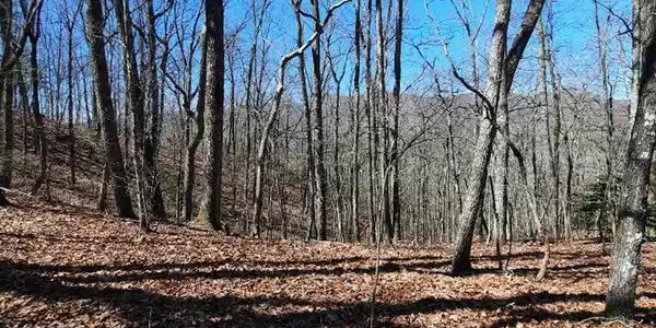 Lot # 7 Quail Run Ridge