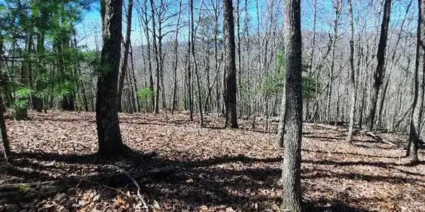 Image 2: Photo of lot