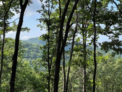 49.8 Stamey Cove Road