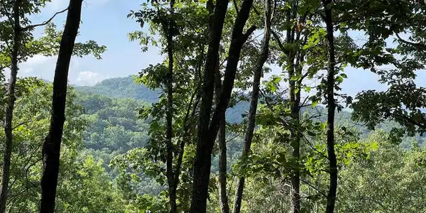 49.8 Stamey Cove Road