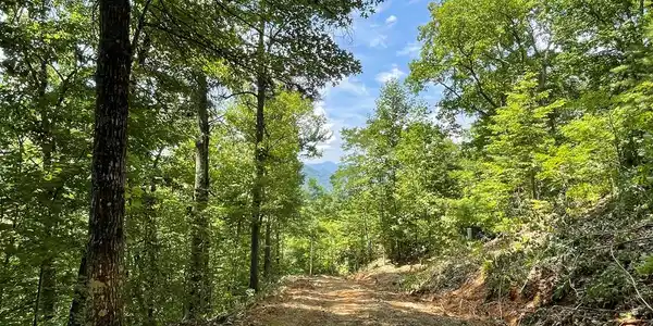 Upper Bell Creek Road