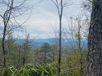 Lot 46 Ridge View Drive