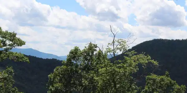 143 Shiloh Ridge