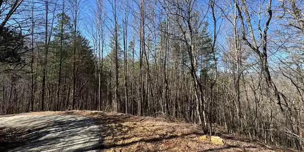 Trac I 2 Crockett Mountain Lane