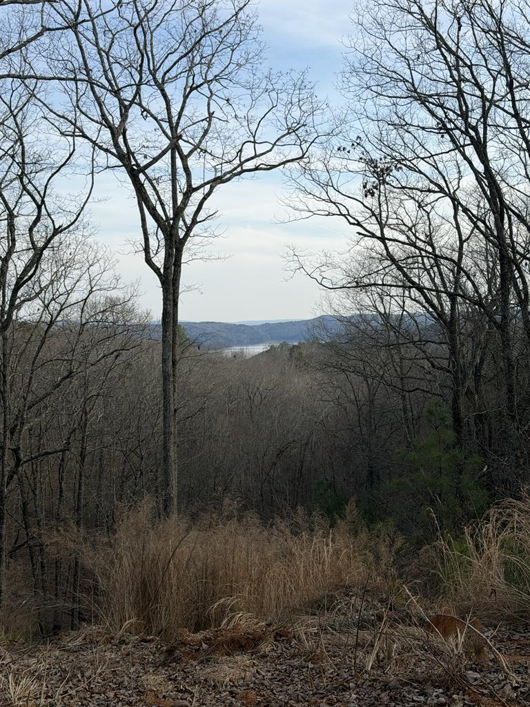 Image 1: Main View