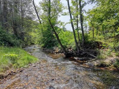 4706 Swallows Creek Road