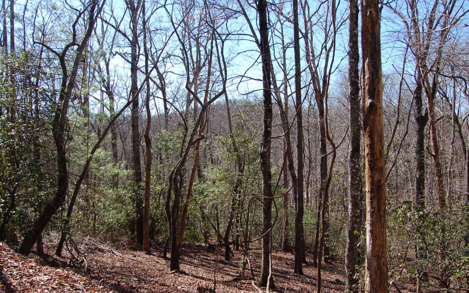 Image 4: Additional View