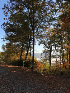 Lot 27 True Love Mountain Road