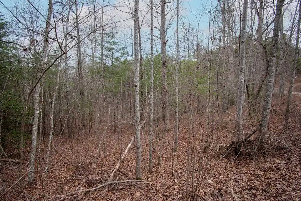 Image 1: Main View