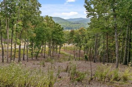 Lot 88 Split Creek Road