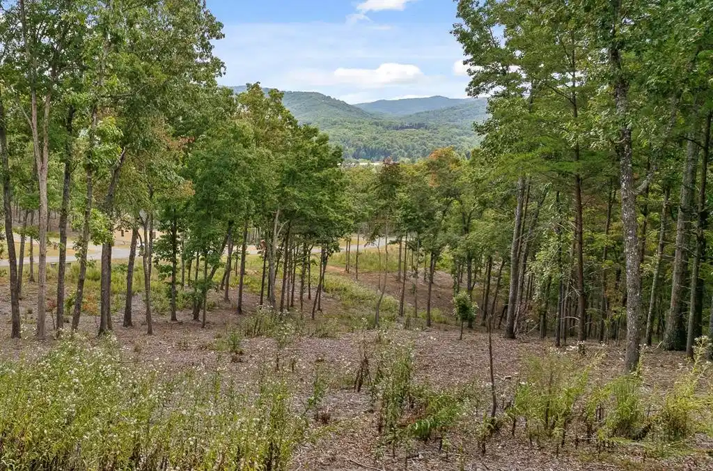 Image 1: Main View