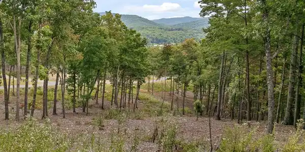 Lot 88 Split Creek Road