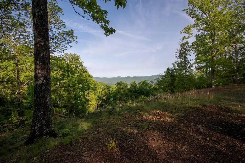 Image 1: Main View