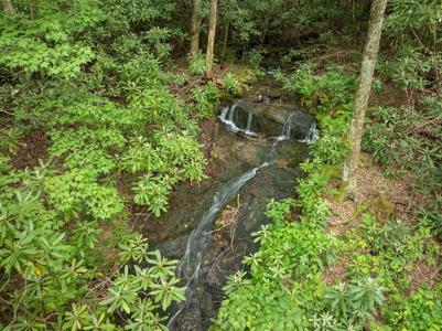 Walnut Cove Road