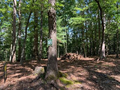 Lot 16 Settawig Overlook