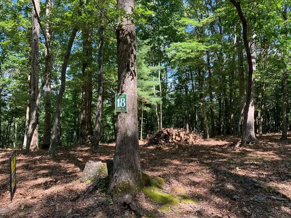 Image 1: Main View