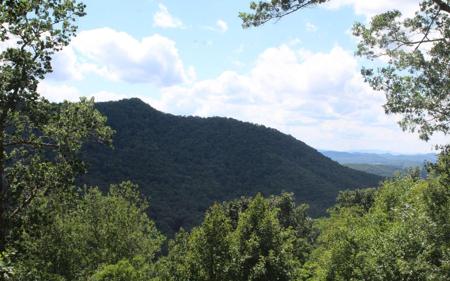 133 Shiloh Ridge