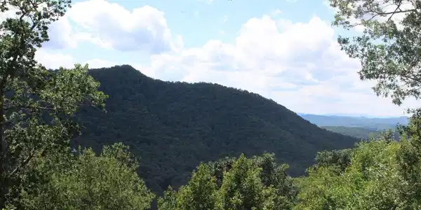 133 Shiloh Ridge