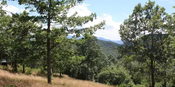 Image 3: Additional View