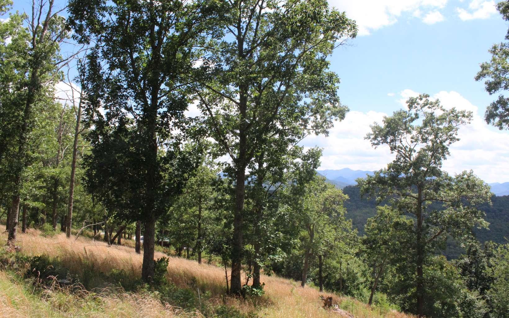 Image 3: Additional View