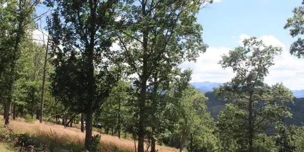 Image 3: Additional View