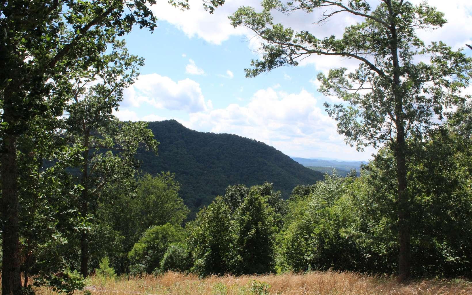 Image 4: Additional View