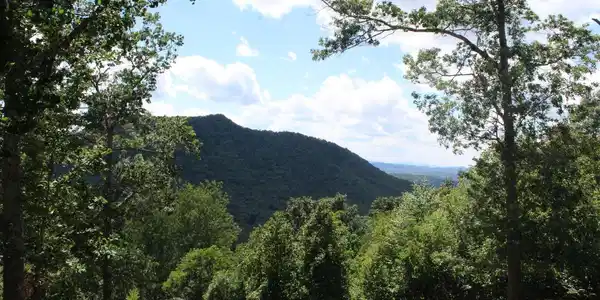 Image 4: Additional View