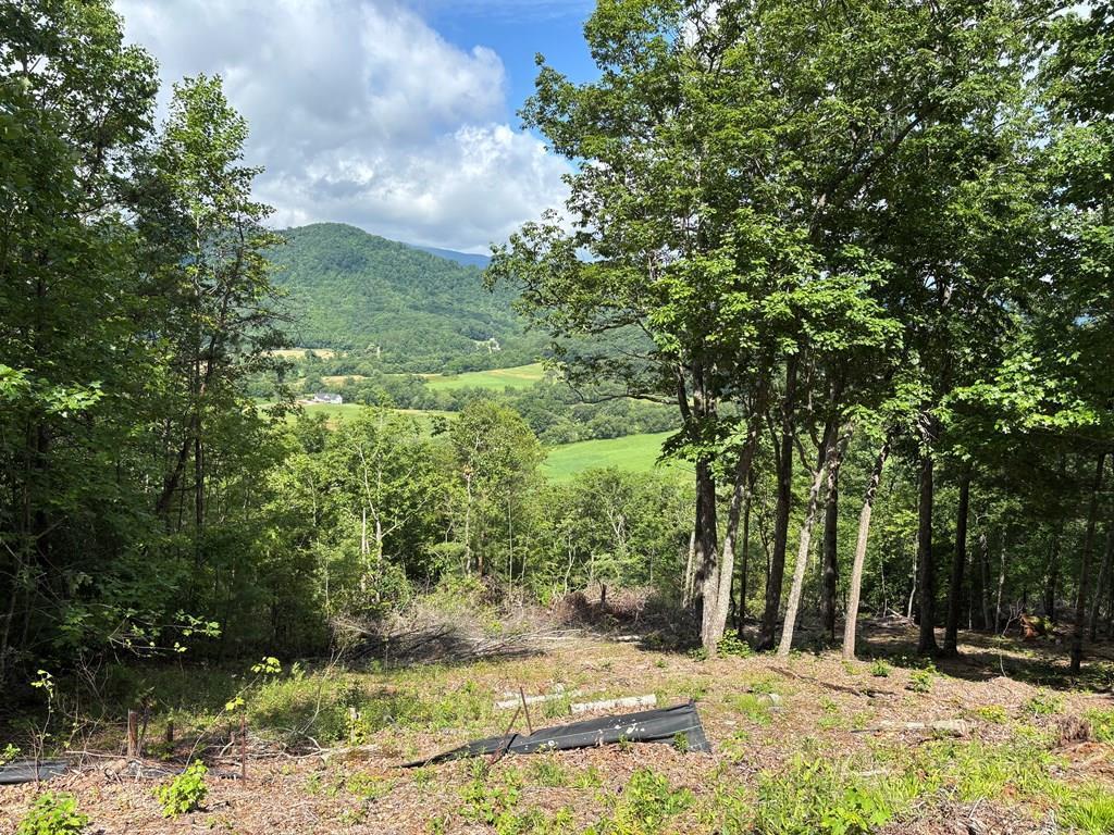 Image 1: Main View
