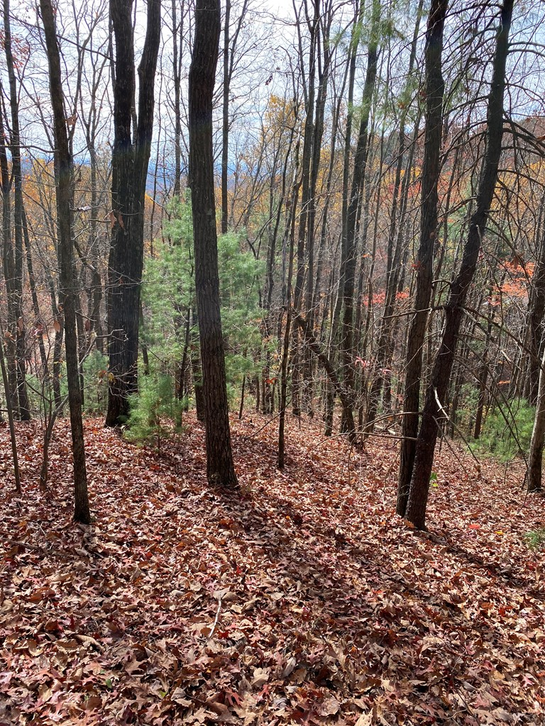 Image 2: View
